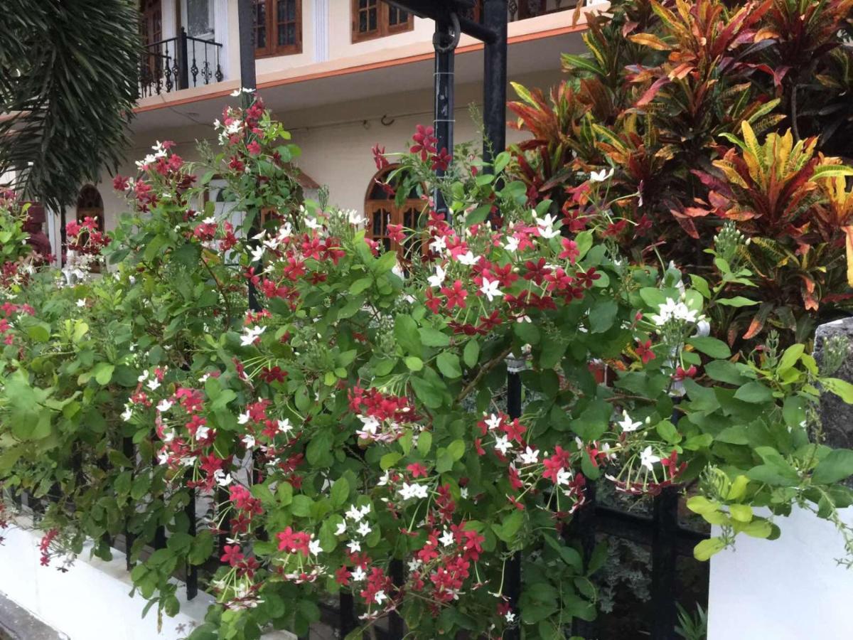 Hotel Senthil Complex Jaffna Exterior foto